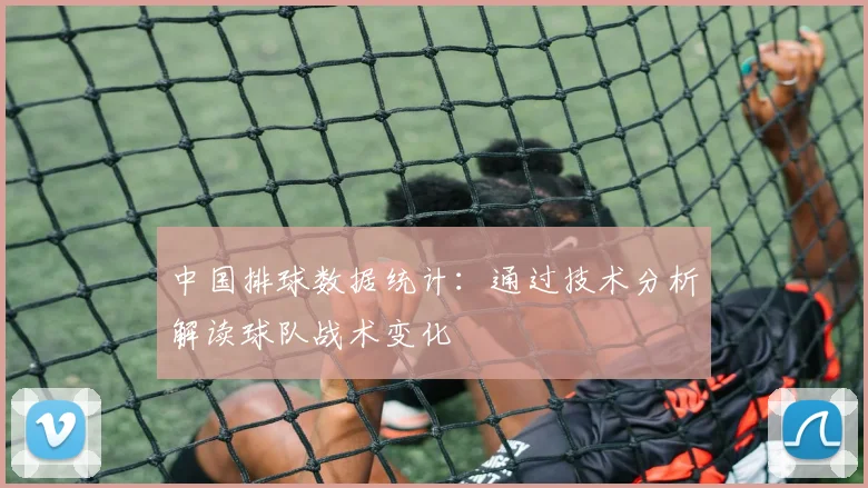 中国排球数据统计：通过技术分析解读球队战术变化