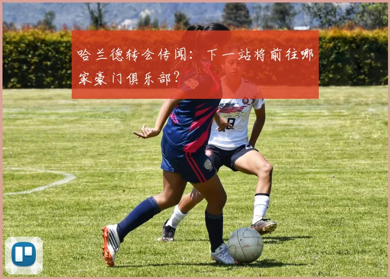 哈兰德转会传闻：下一站将前往哪家豪门俱乐部？