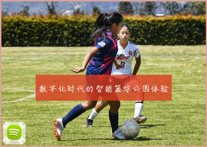 数字化时代的智能篮球公园体验